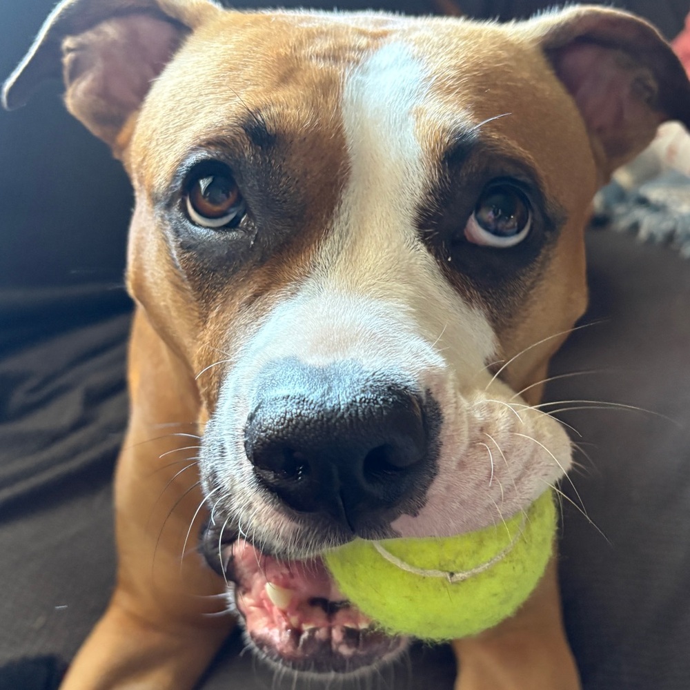 Meet your Posher, Erica